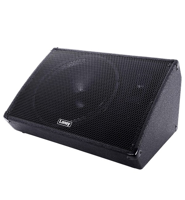 Laney CXM-115 500W 1x15 Passive Stage Monitor